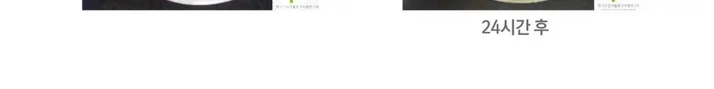 [불소 포함] 로로벨 와와 치약 100g 상세페이지 30